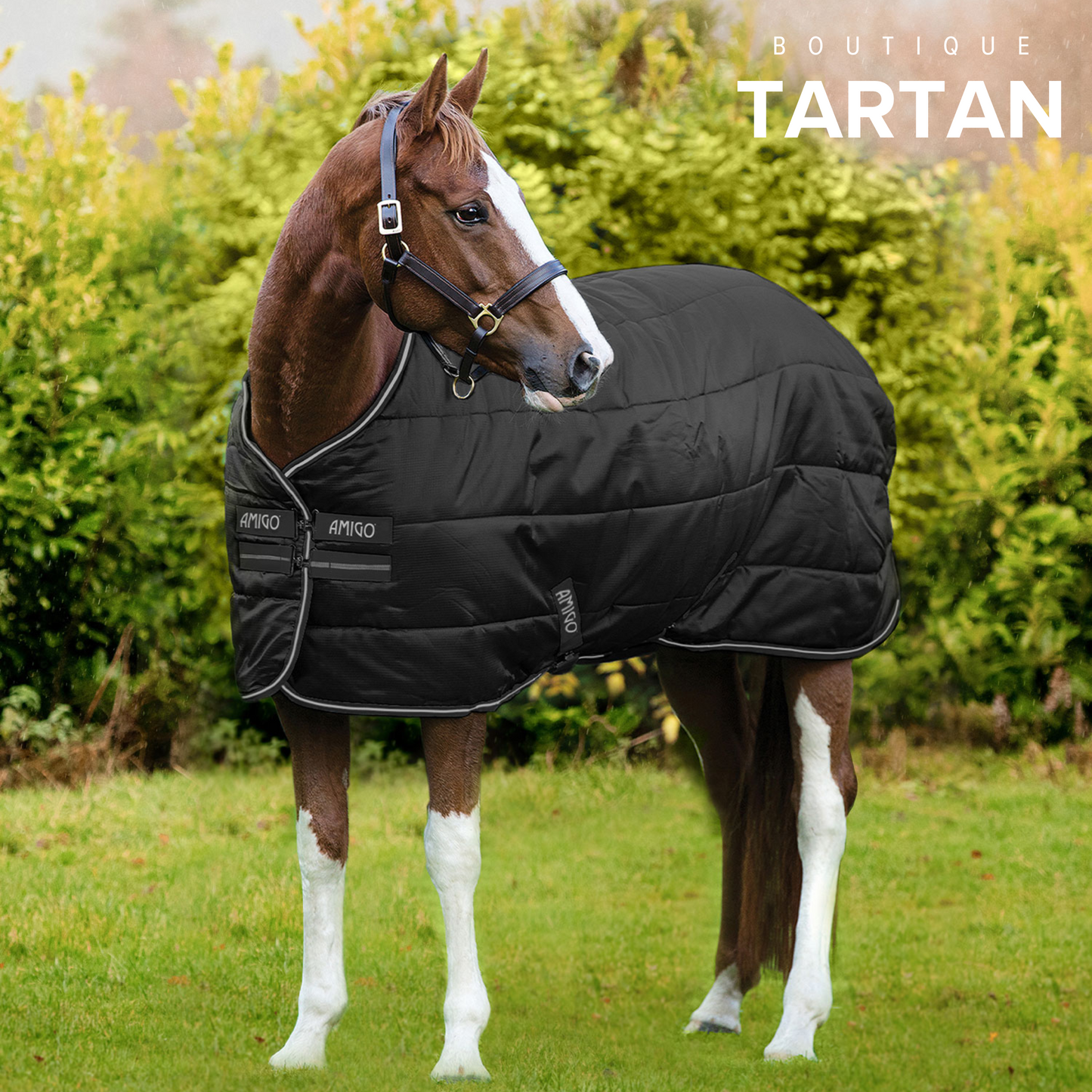 Amigo® Diamond Insulator (100g Light)