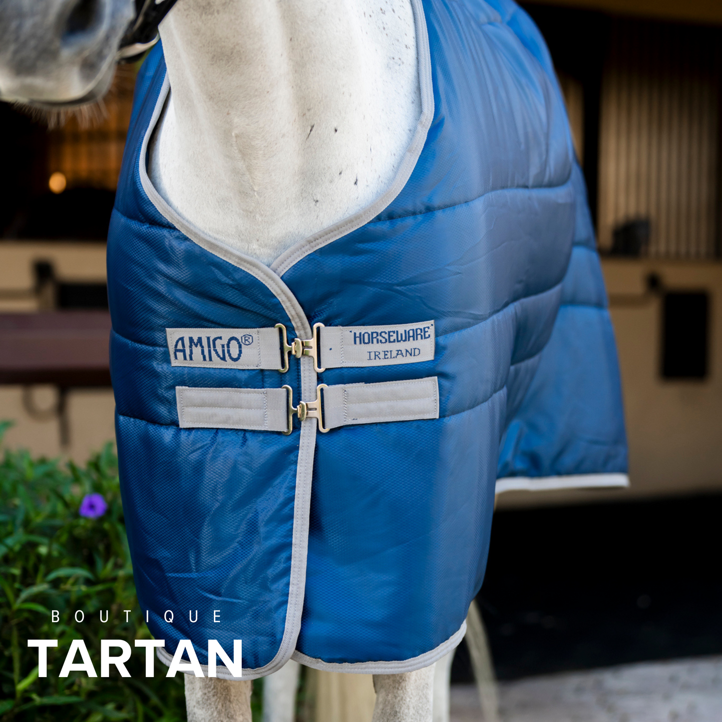 Amigo® Insulator Plus (200g Medium)