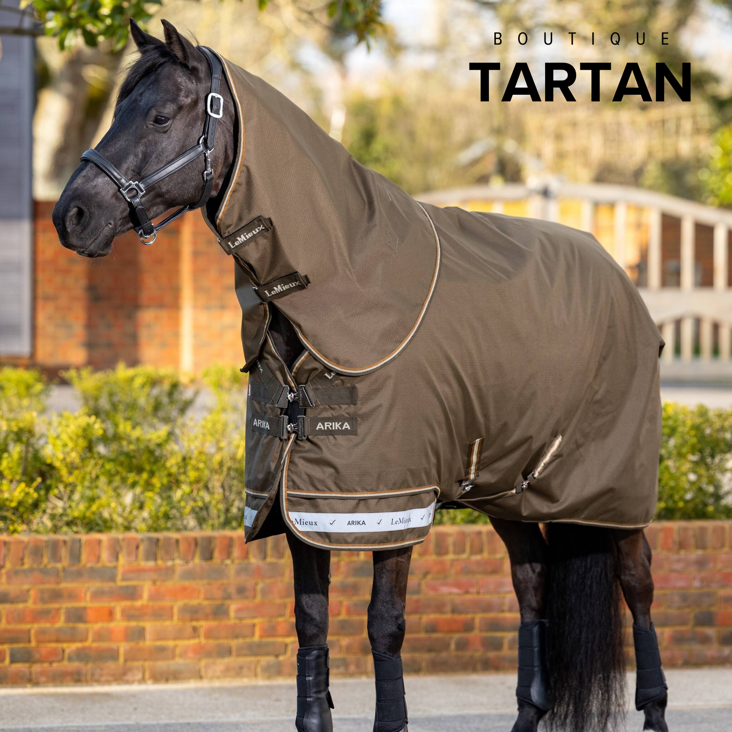 Arika Ripstop 50g Turnout Rug Alpine