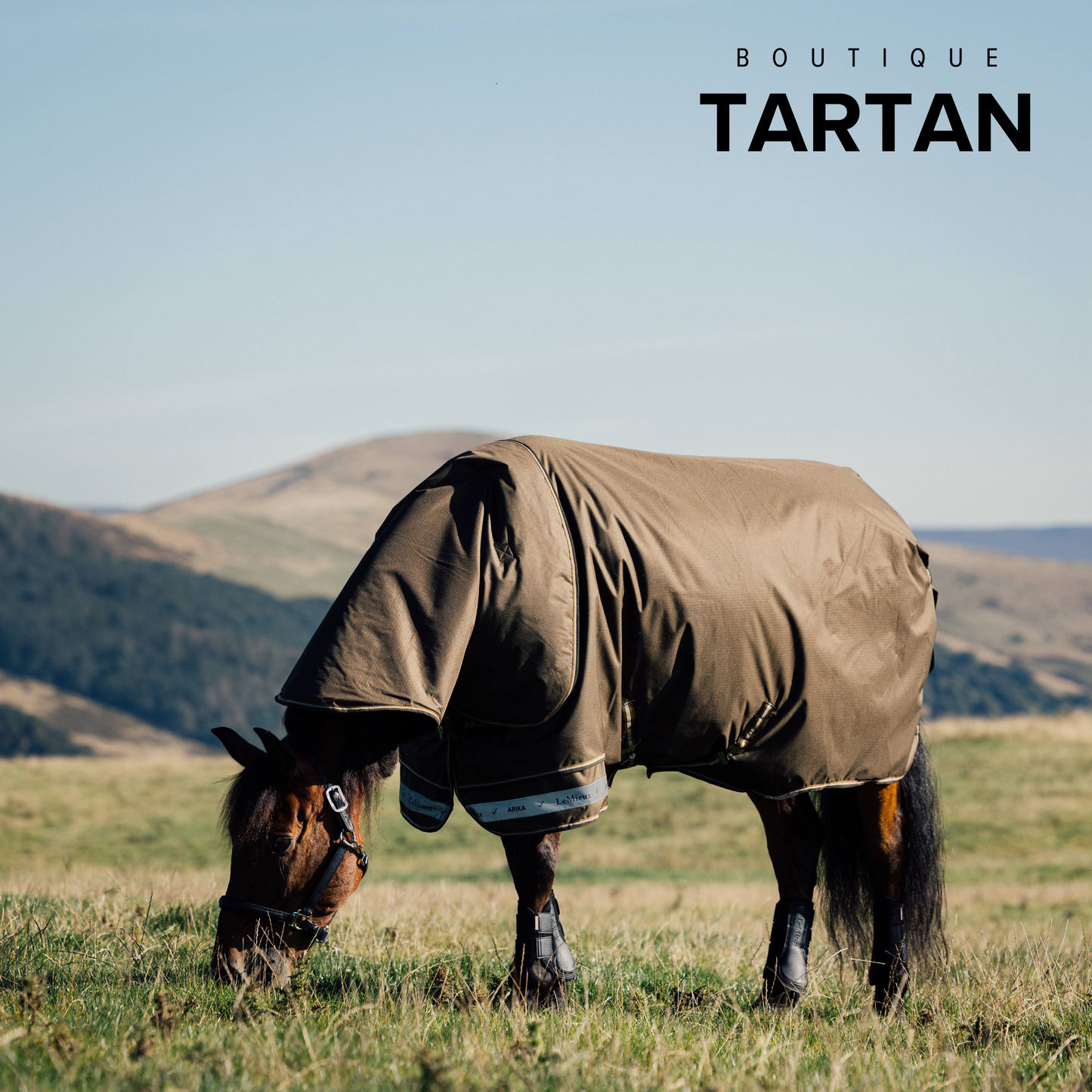 Arika Ripstop 100g Turnout Rug Alpine