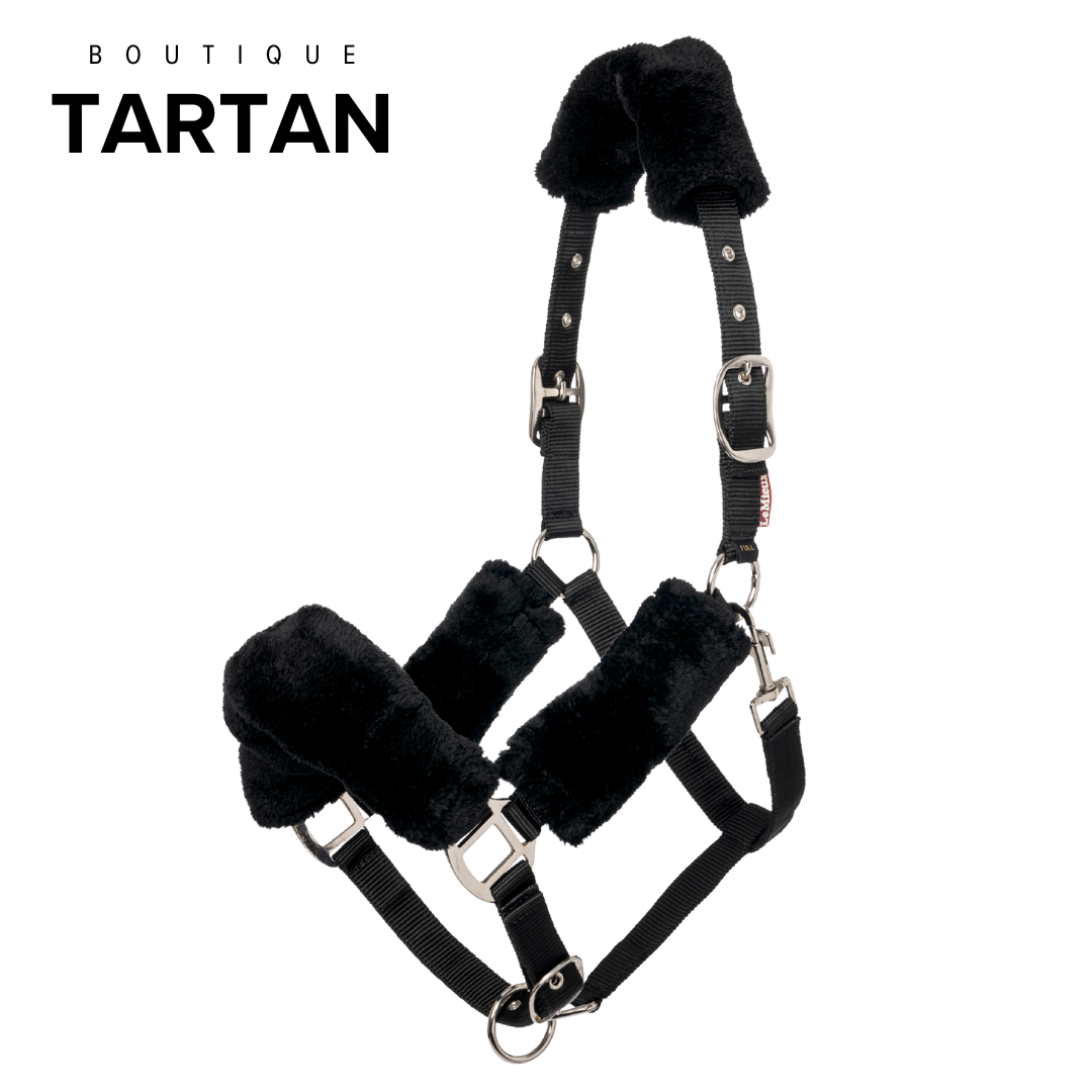 Comfort Headcollar Black