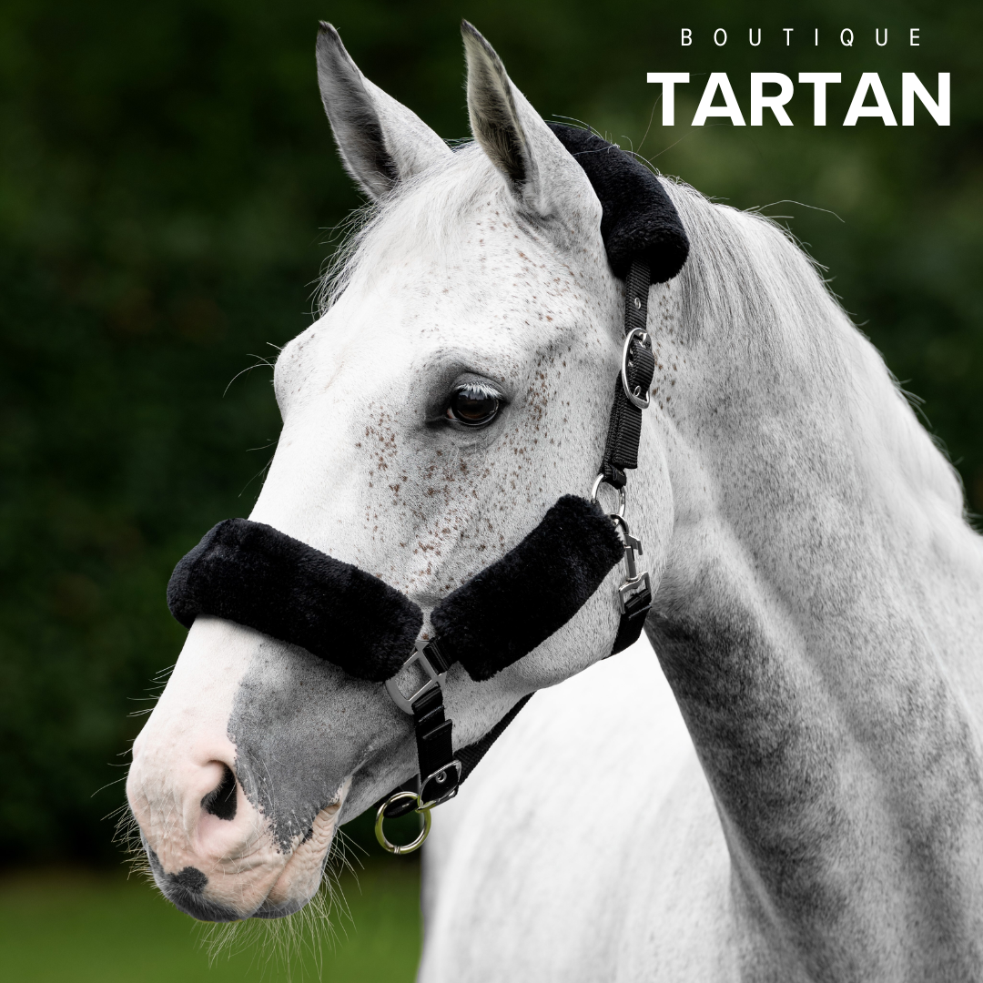 Comfort Headcollar Black