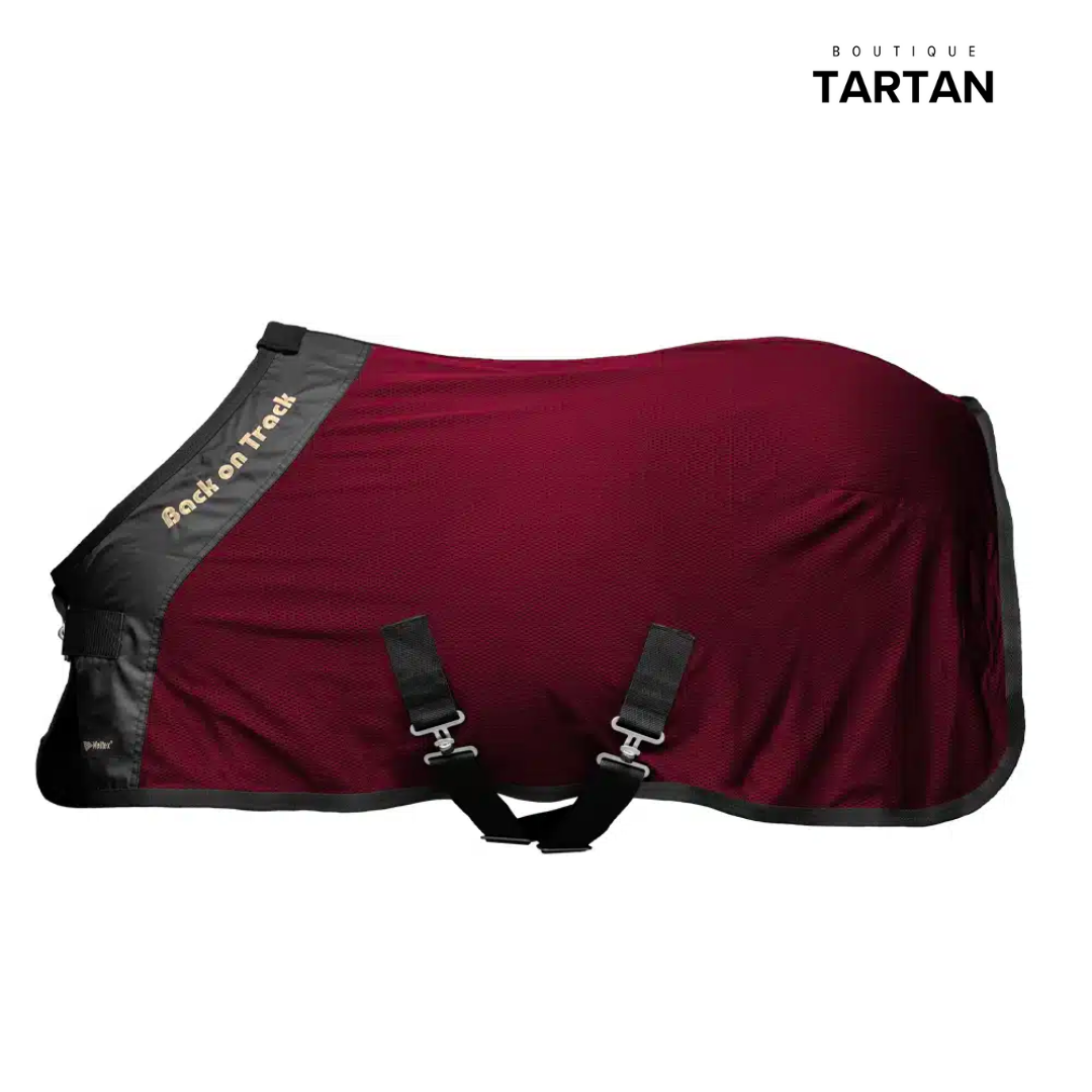 Deluxe Mesh Rug Pony