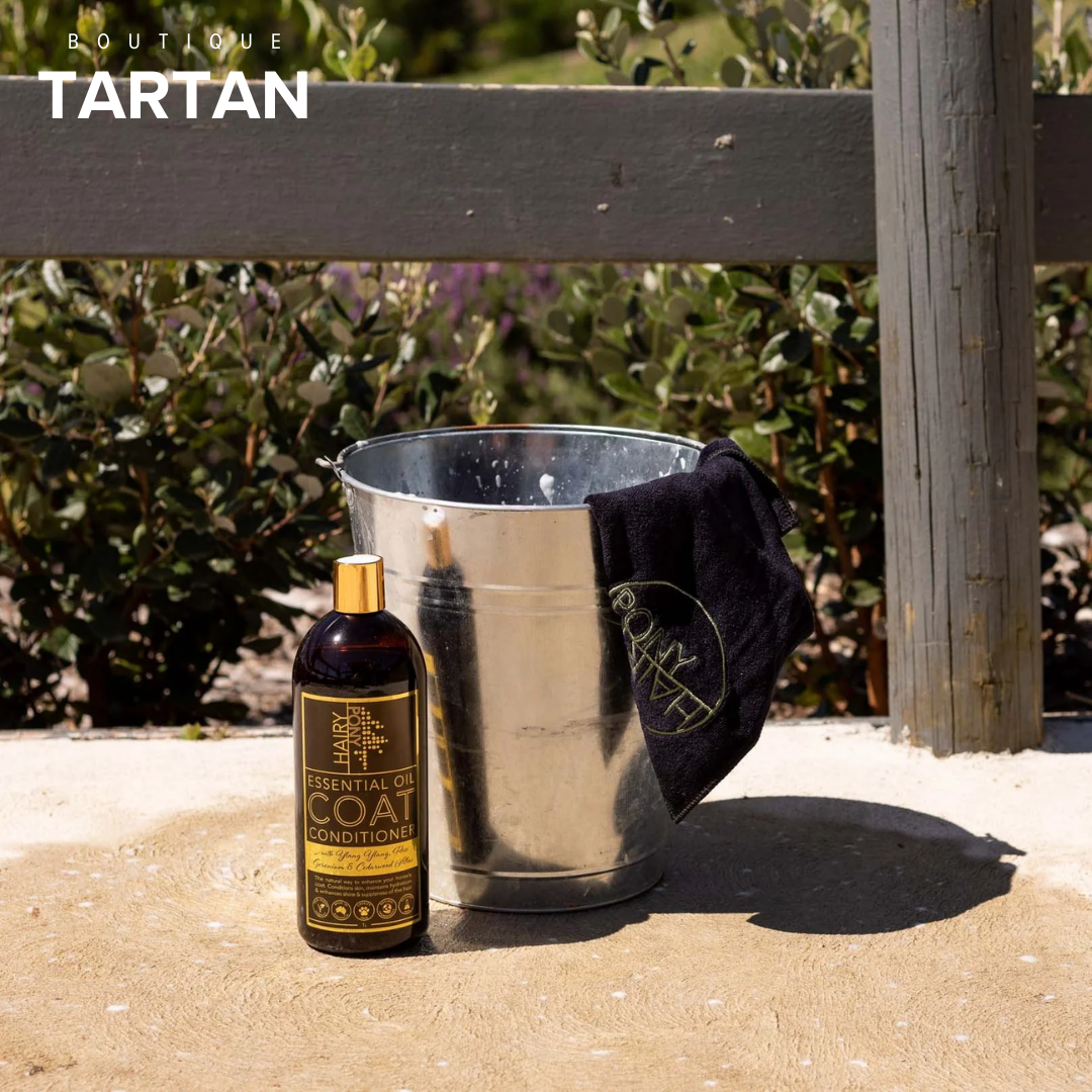 Essential Oil Coat Conditioner