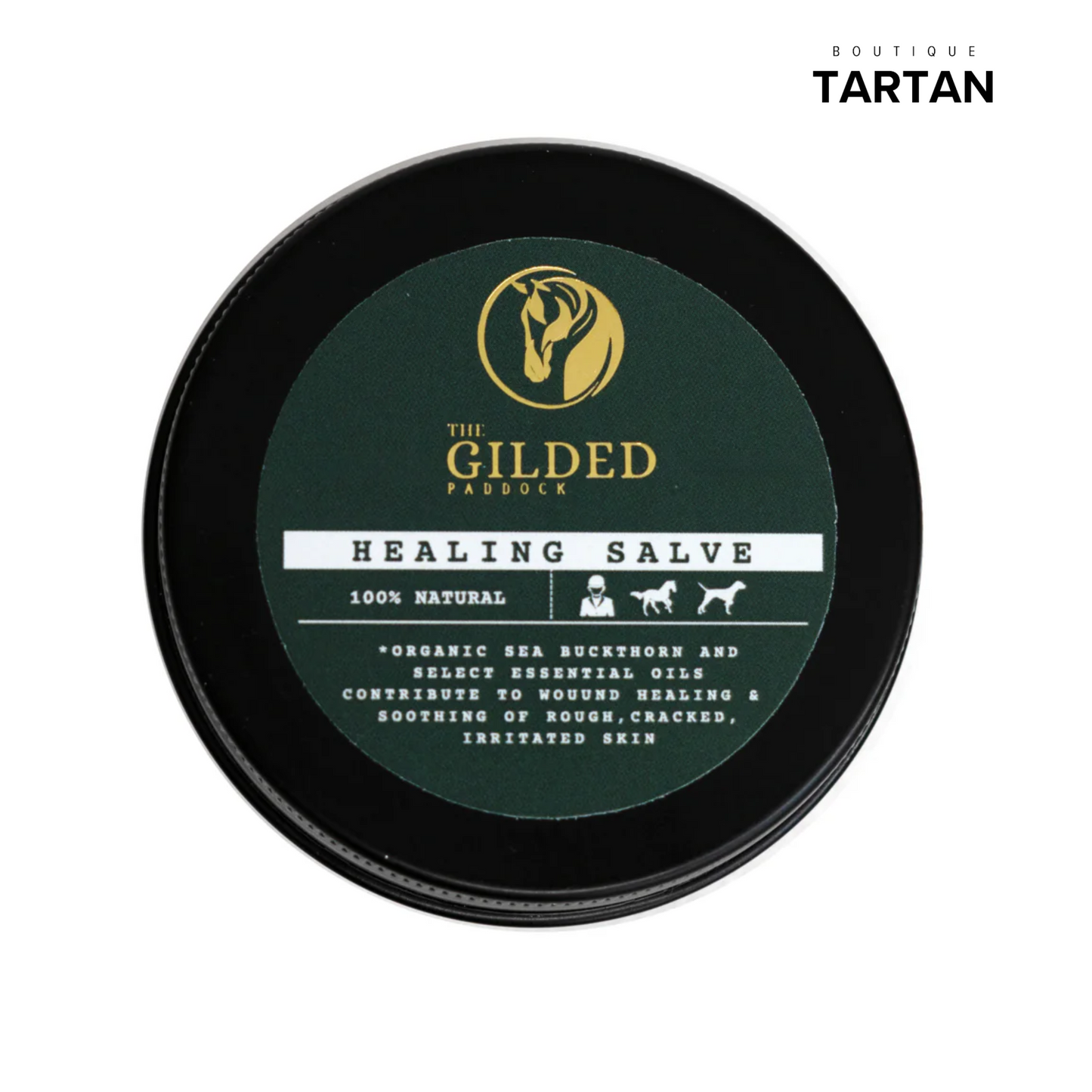 HEALING SALVE - Wound Healing & Protection The Gilded Paddock