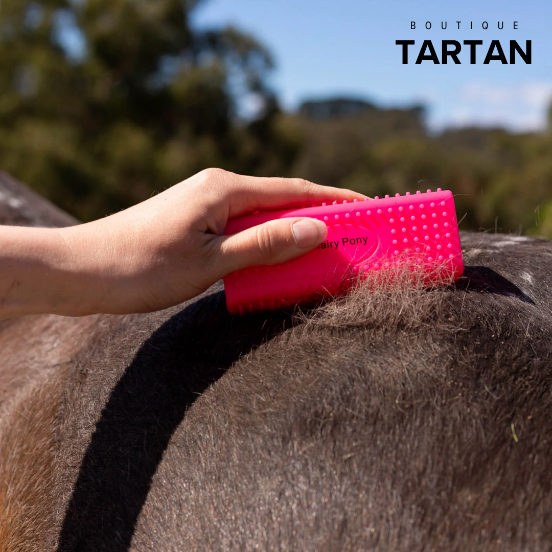 Horse Grooming Block