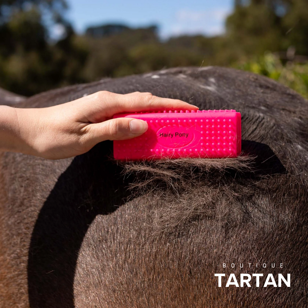 Horse Grooming Block