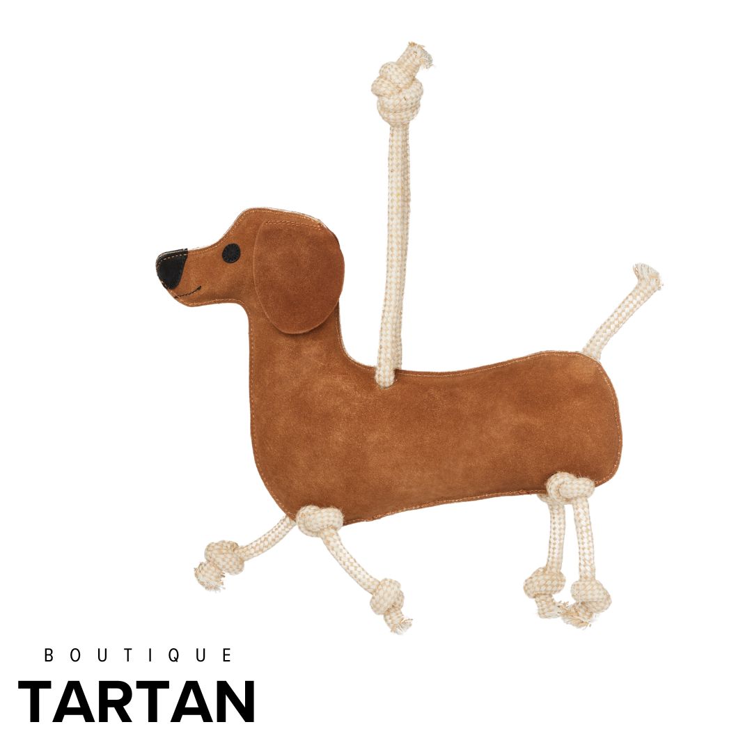 Horse Toy Sausage Dog