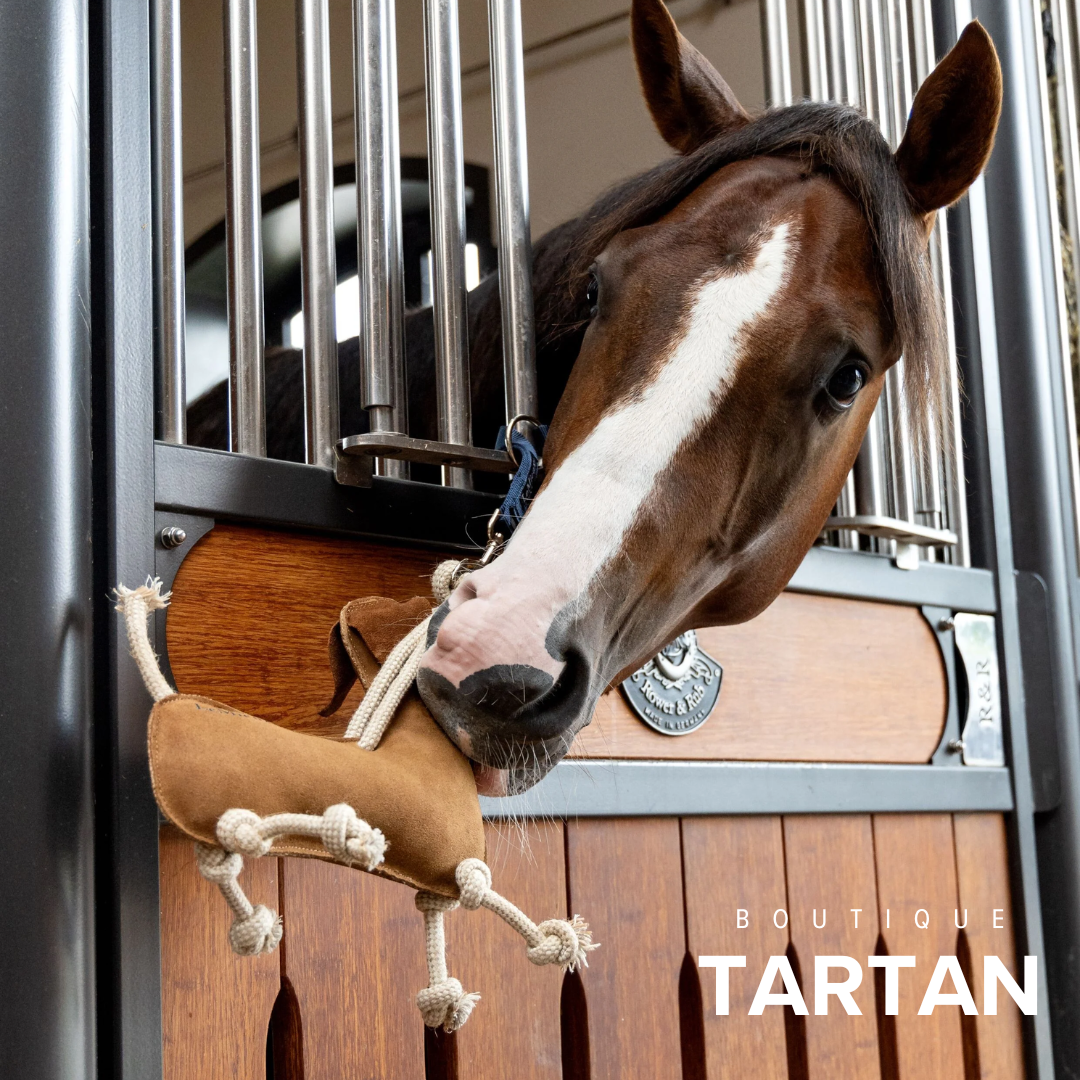 Horse Toy Sausage Dog