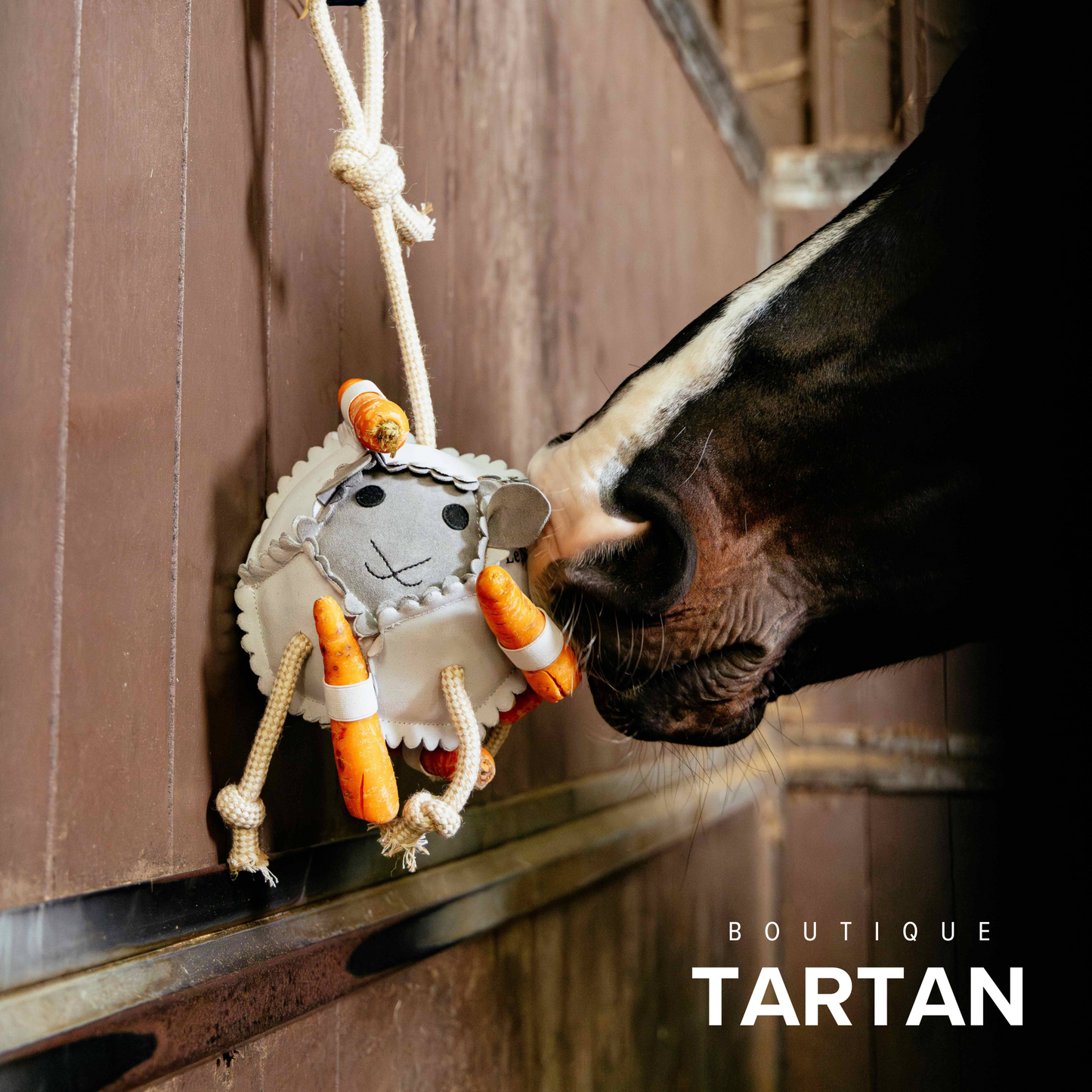 Horse Toy Sheep