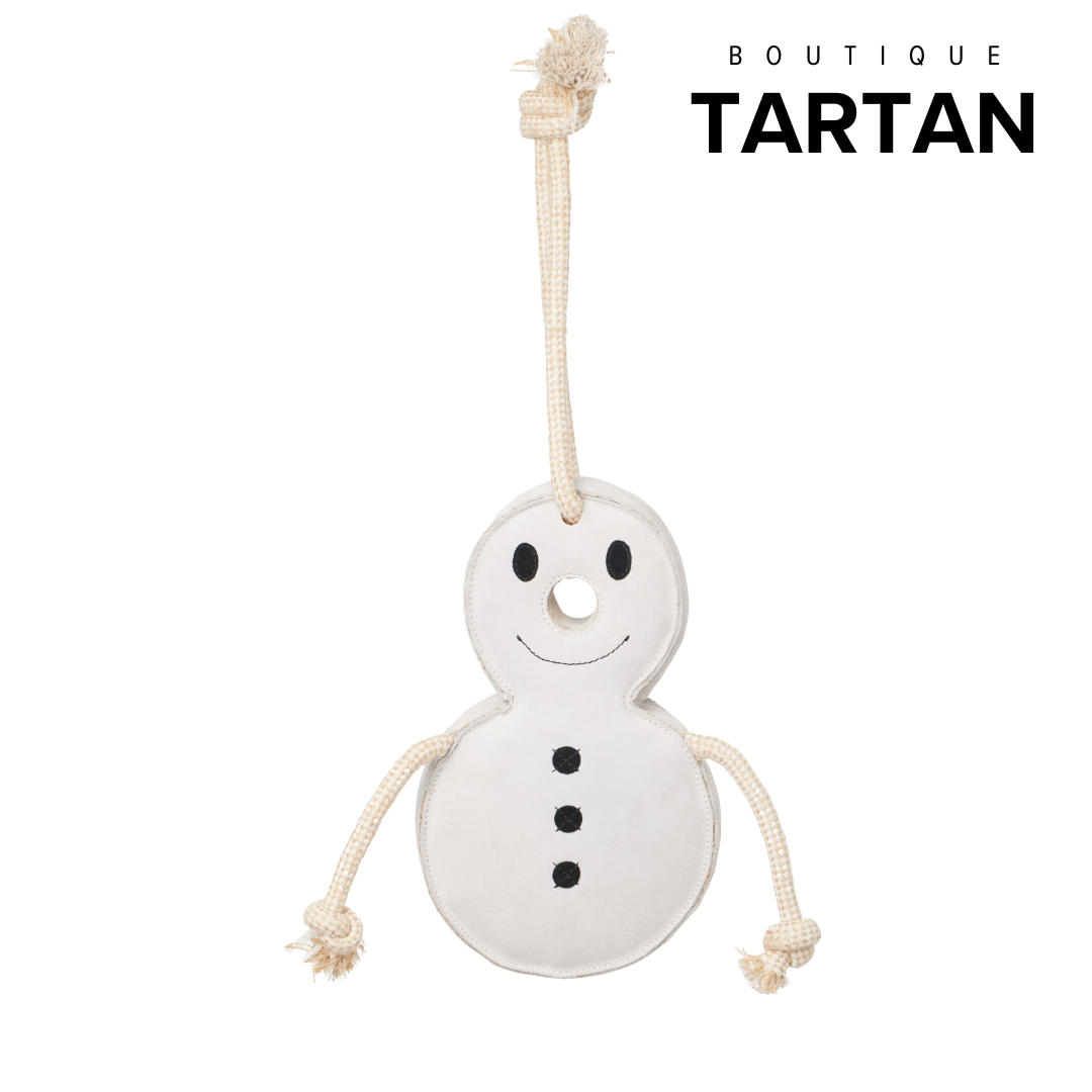 Horse Toy SnowMan