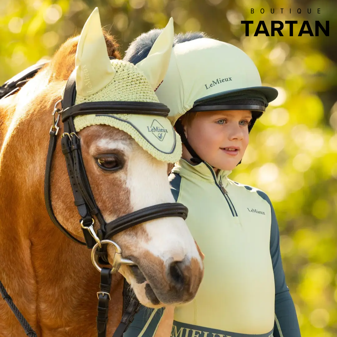 Mini Classic Fly Hood Macaron