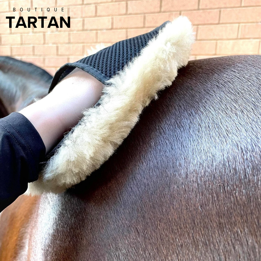 Merino Wool Horse Polishing Mitt