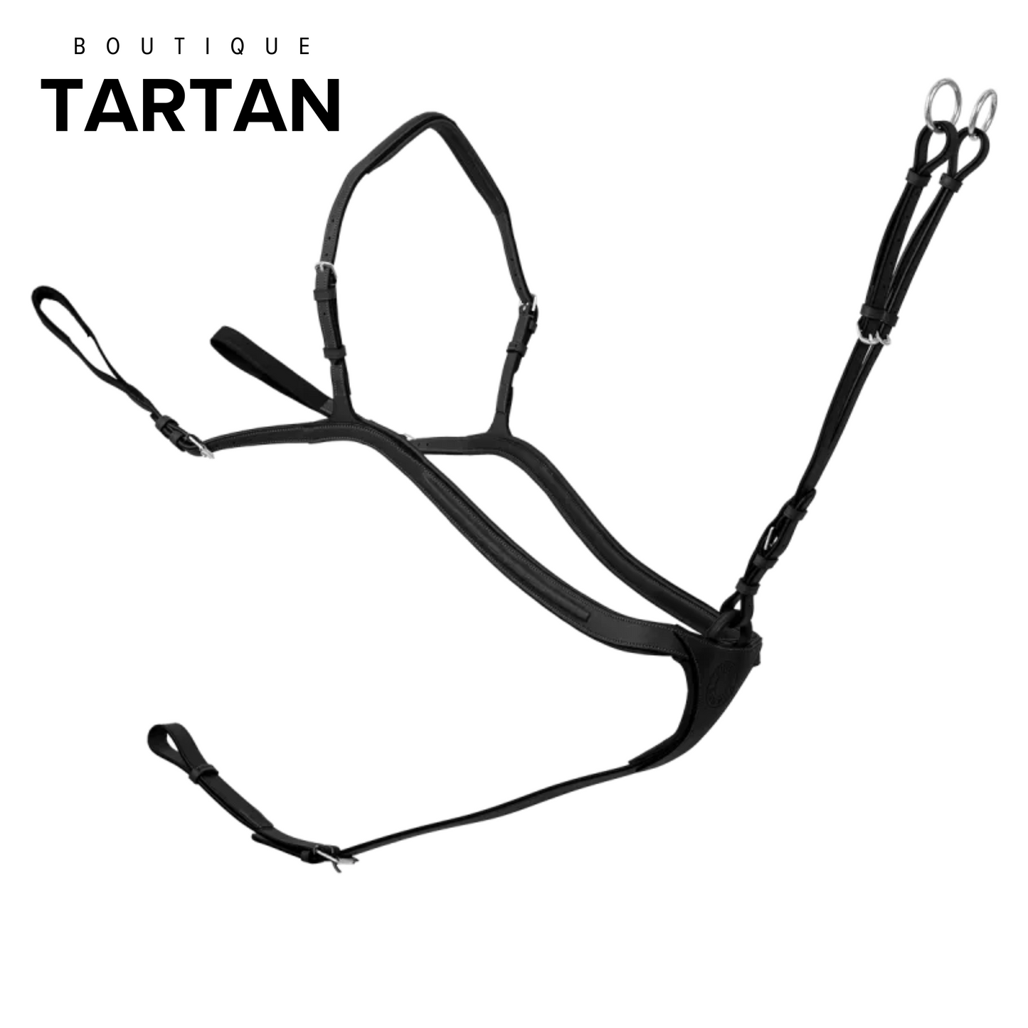 Le Collier de chasse à pont + martingale sport à anneaux