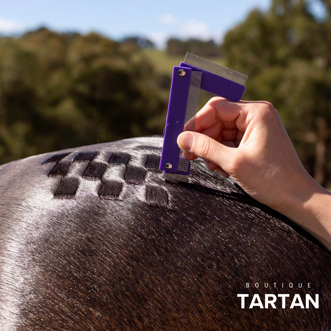 Quarter Mark Horse Comb