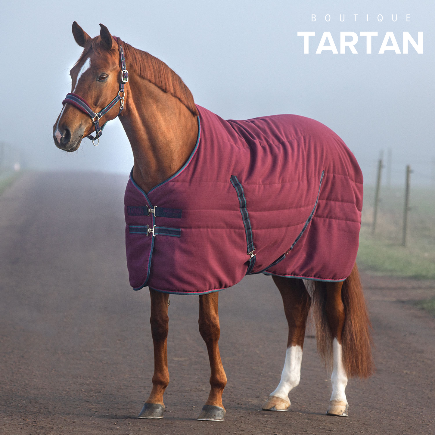 Rambo® Stable Rug (100g Light)