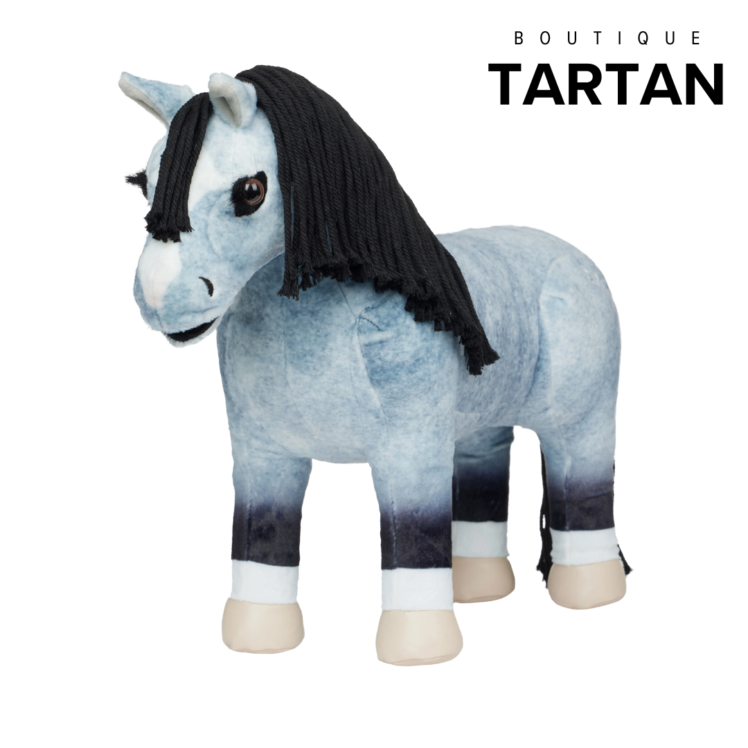 Toy Pony Storm