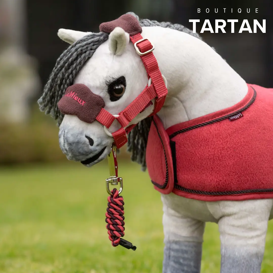 Toy Pony Vogue Headcollar & Leadrope Cranberry