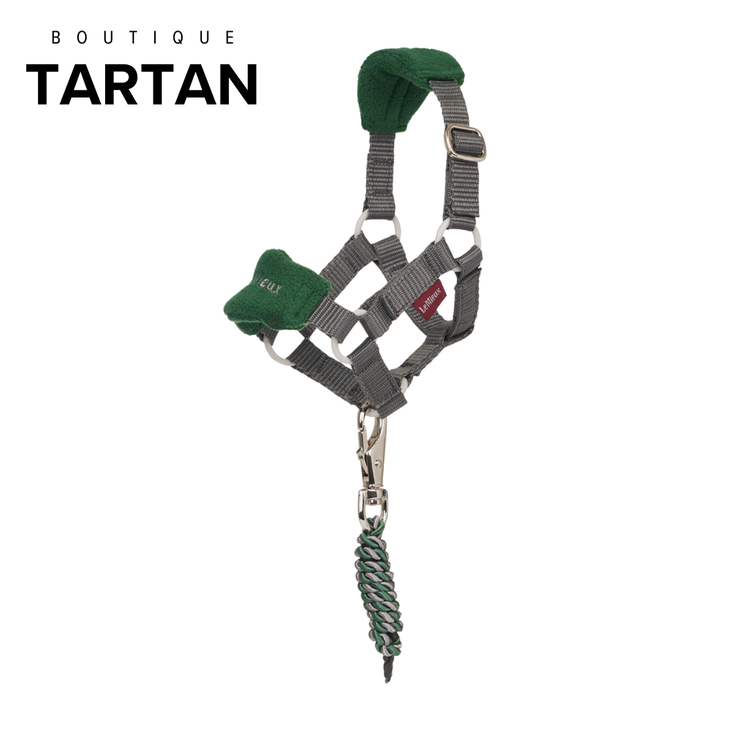 Toy Pony Vogue Headcollar & Leadrope Hunter Green