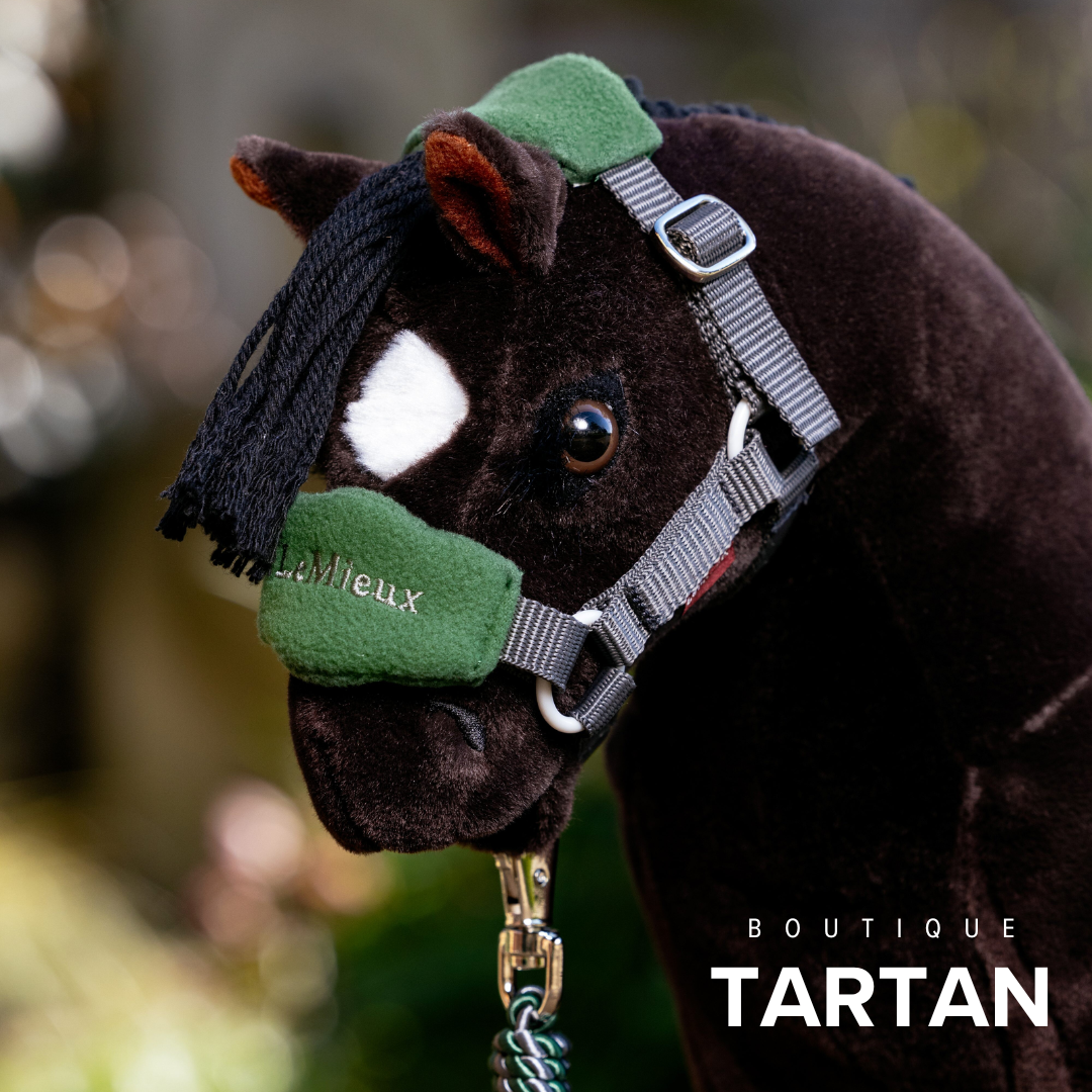 Toy Pony Vogue Headcollar & Leadrope Hunter Green