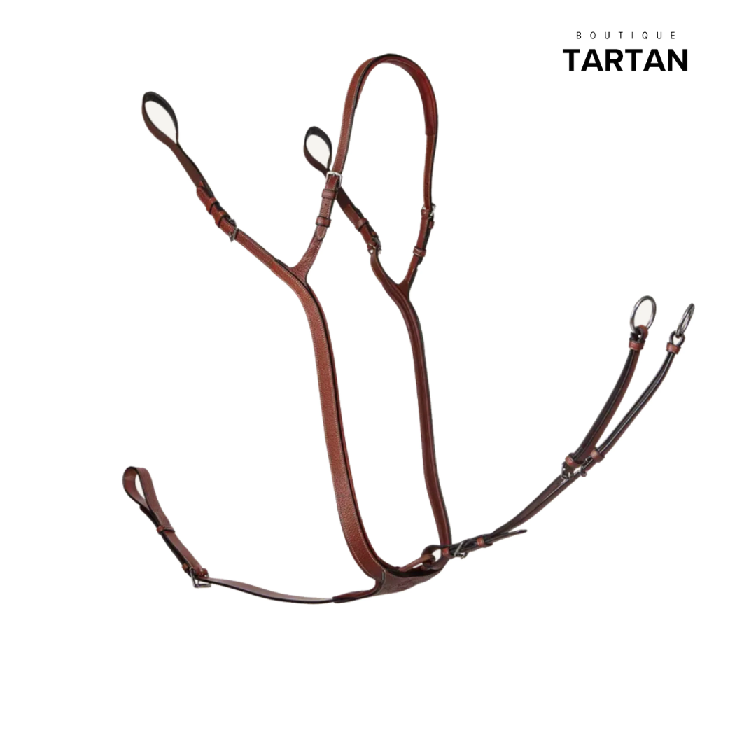 Collier de chasse à pont + martingale sport à anneaux