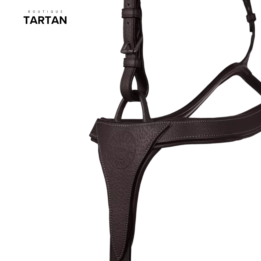 Collier de chasse à pont + martingale sport à anneaux