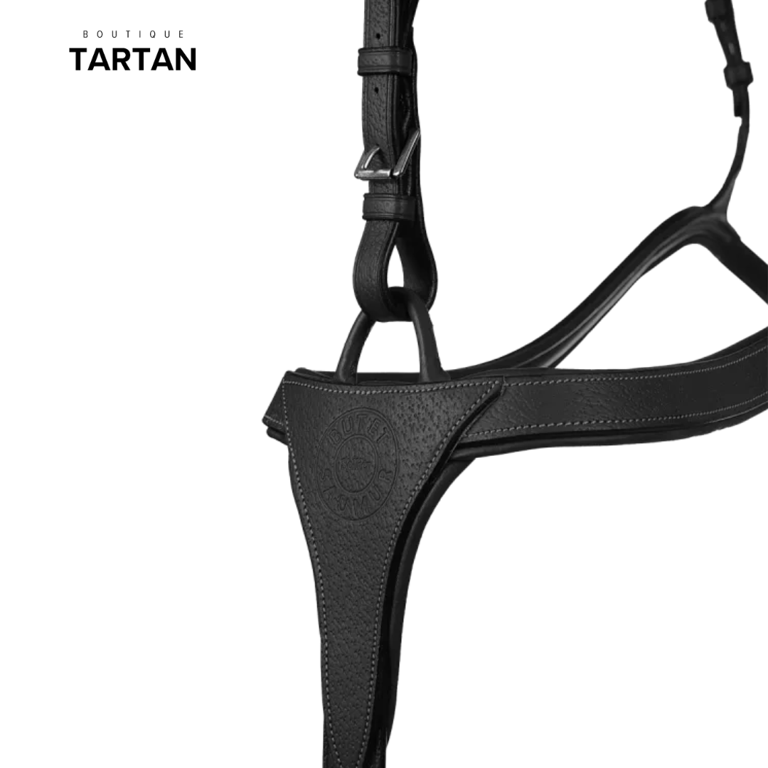 Collier de chasse à pont + martingale sport à anneaux