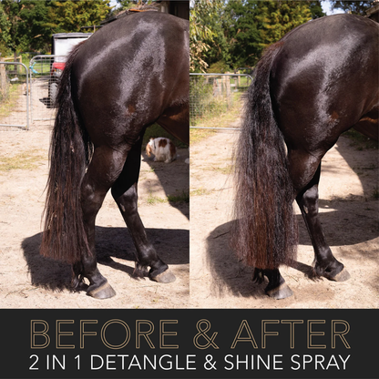 2 in 1 Detangle & Shine Spray - Original