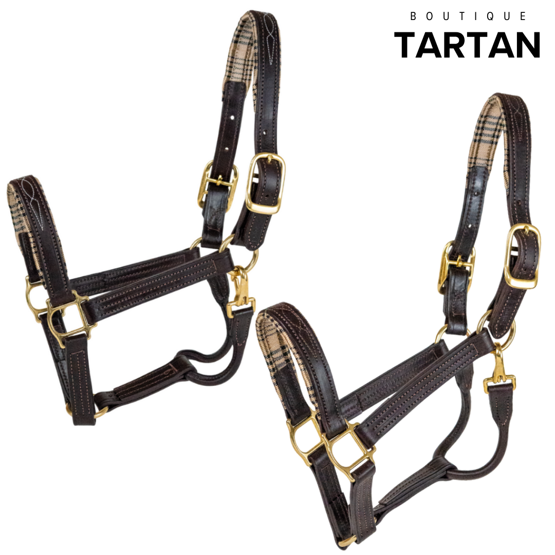 5/A Baker® Signature Leather Halter