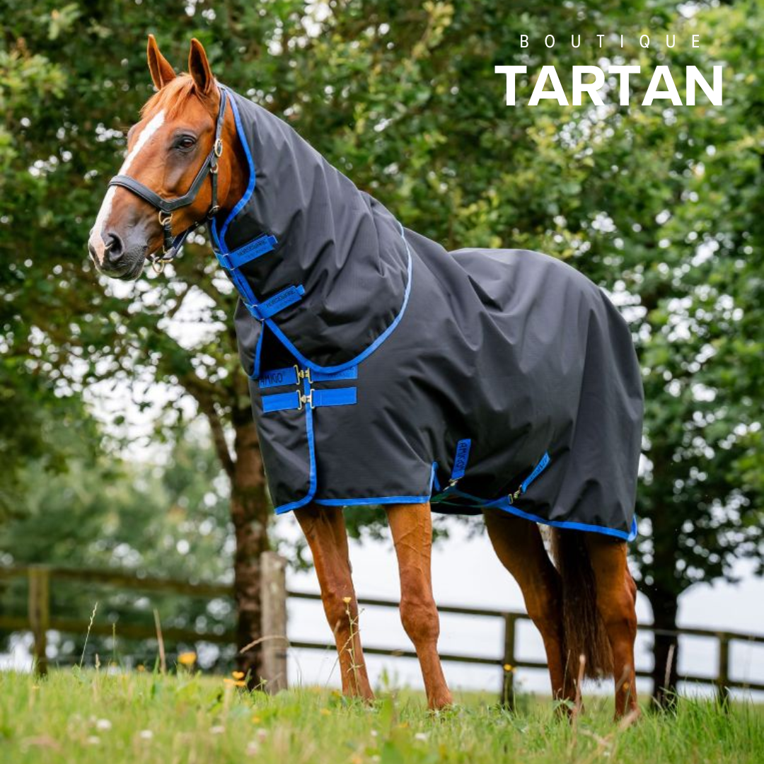 Amigo® Ripstop 900D Plus Turnout 200g (Dynasty Green/Navy & Silver)