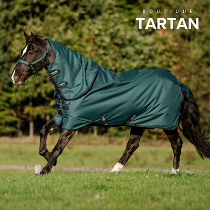 Amigo® Ripstop 900D Plus Turnout 200g (Dynasty Green/Navy & Silver)