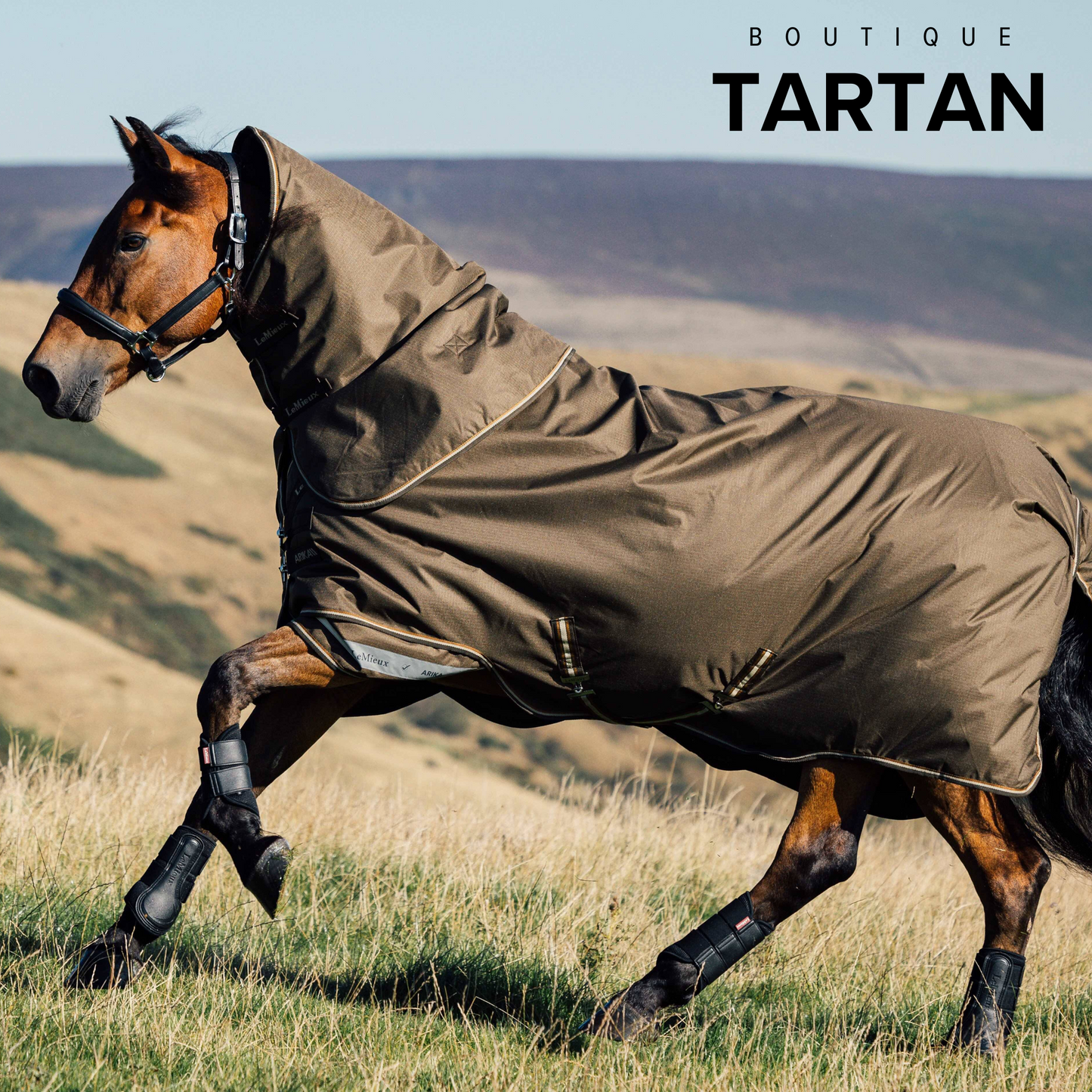 Arika Ripstop 50g Turnout Rug Alpine
