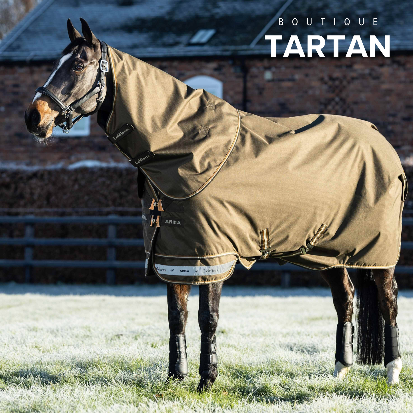 Arika Ripstop 50g Turnout Rug Alpine