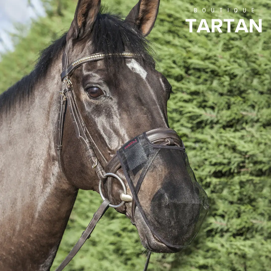 Comfort Shield Nose Filter