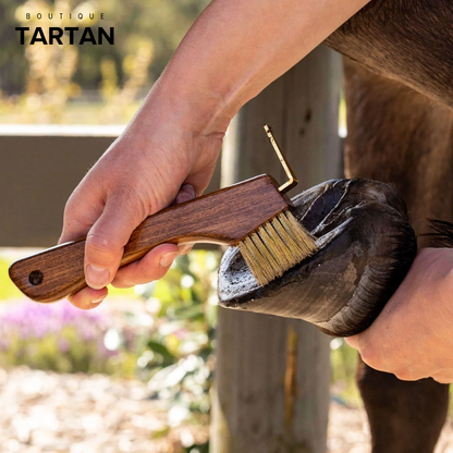 Copper Bristle Wooden Hoof Pick