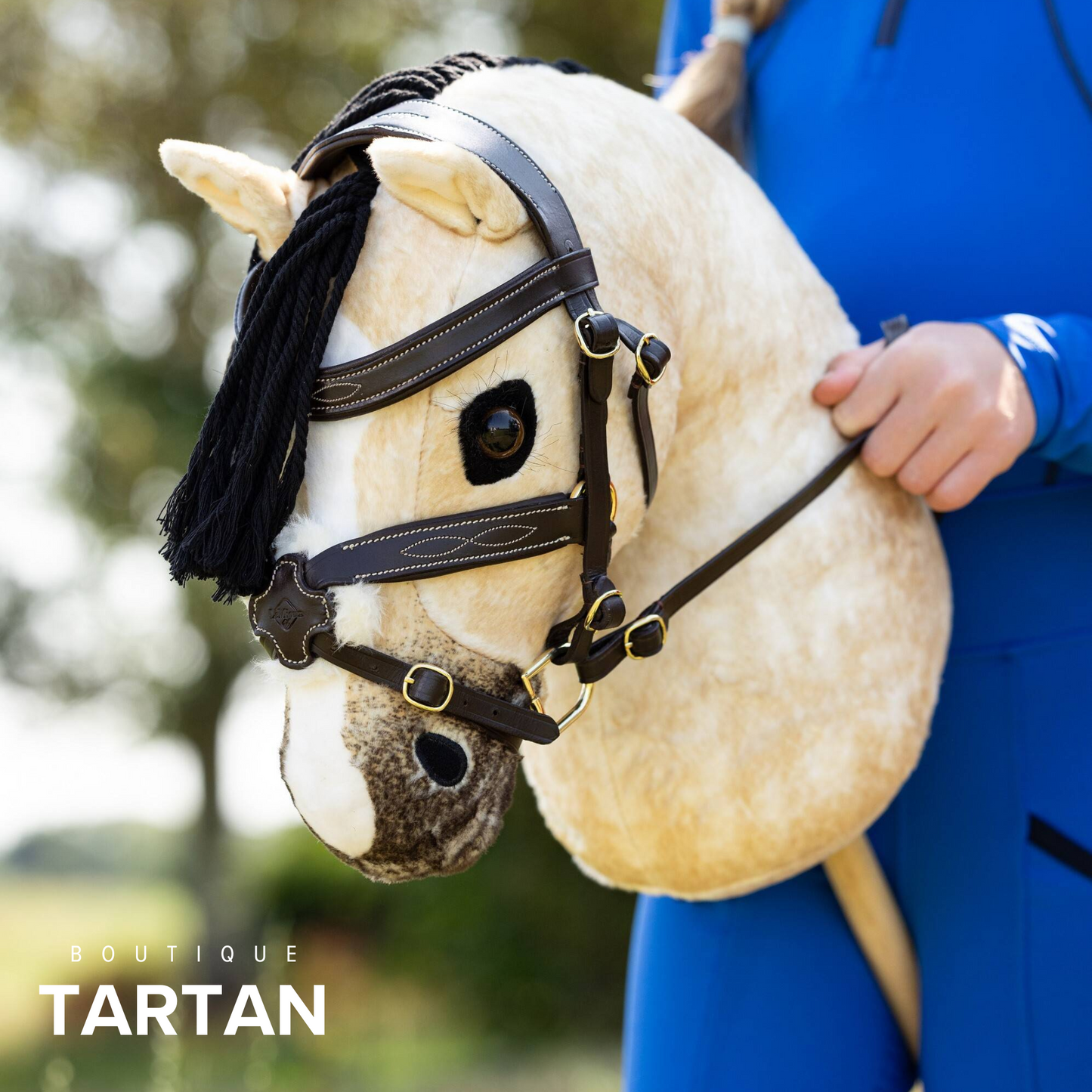 Hobby Horse Dream