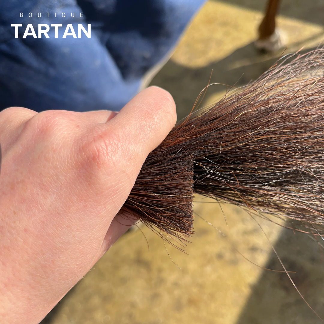Horse Tail Trimming Scissors