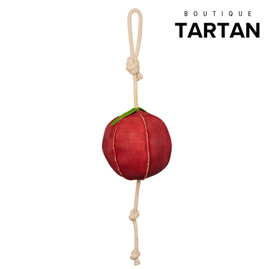 Horse Toy Apple