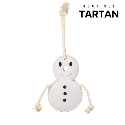 Horse Toy SnowMan