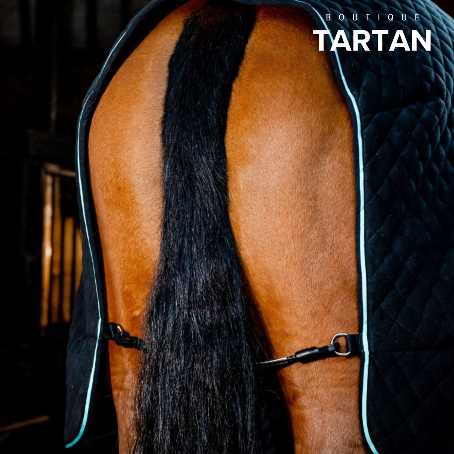 Horseware® Autumn Cooler (50g Light)