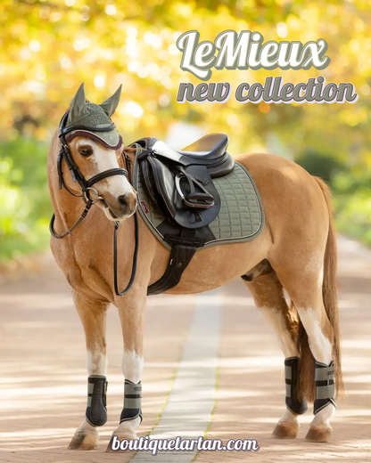 Mini Bundle Kit LeMieux - Rosemary (9-10)