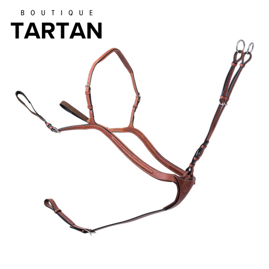 NEW | Le Collier de chasse à pont + martingale sport à anneaux
