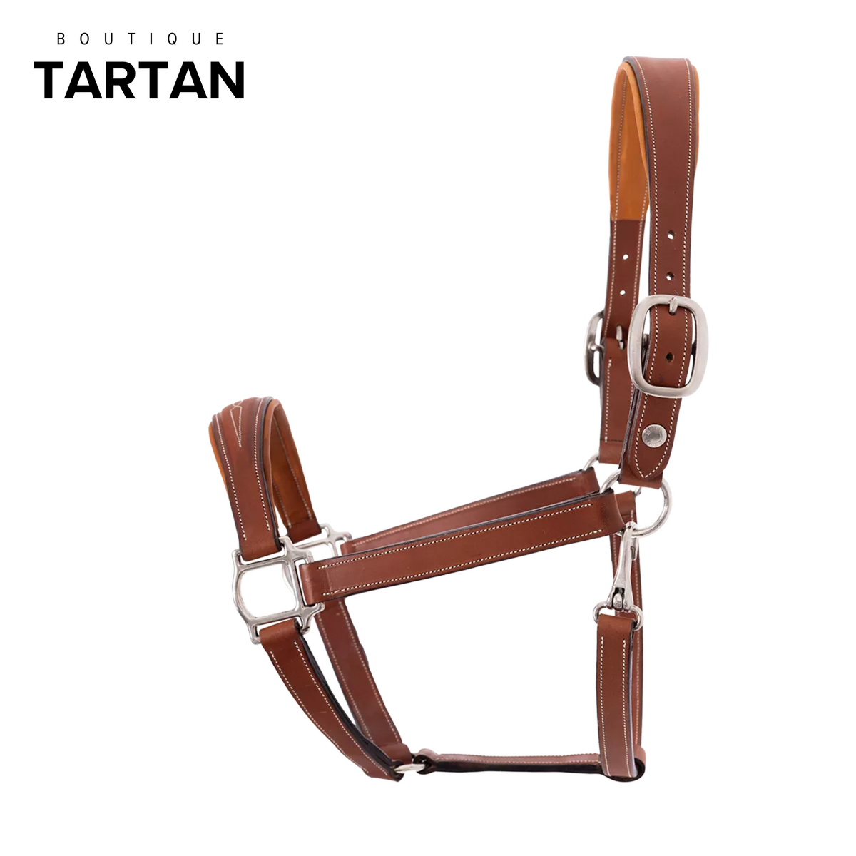 Licol Cuir Cheval & Poney | Qualité, Élégance | Sellerie MCM Barbentane Licol Cuir Cheval & Poney | Qualité, Élégance | Sellerie MCM Barbentane