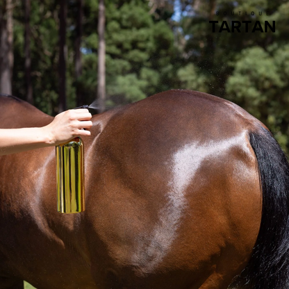 Pre-Mixed Essential Oil Coat Conditioner