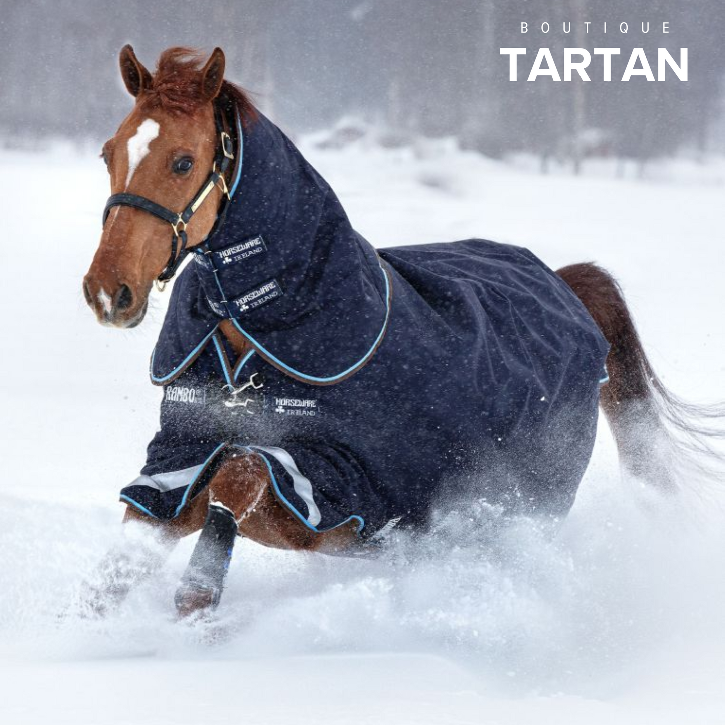 Rambo® Duo Turnout (100g Outer with 300g Liner)