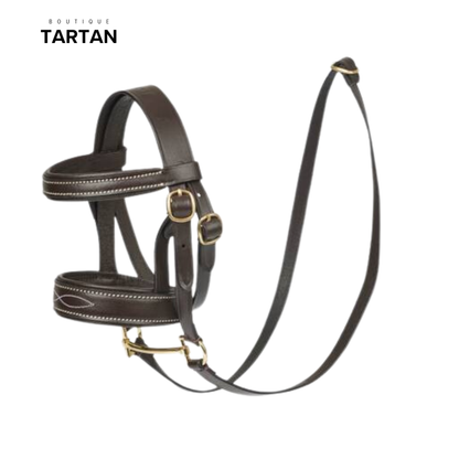 Toy Pony Bridle