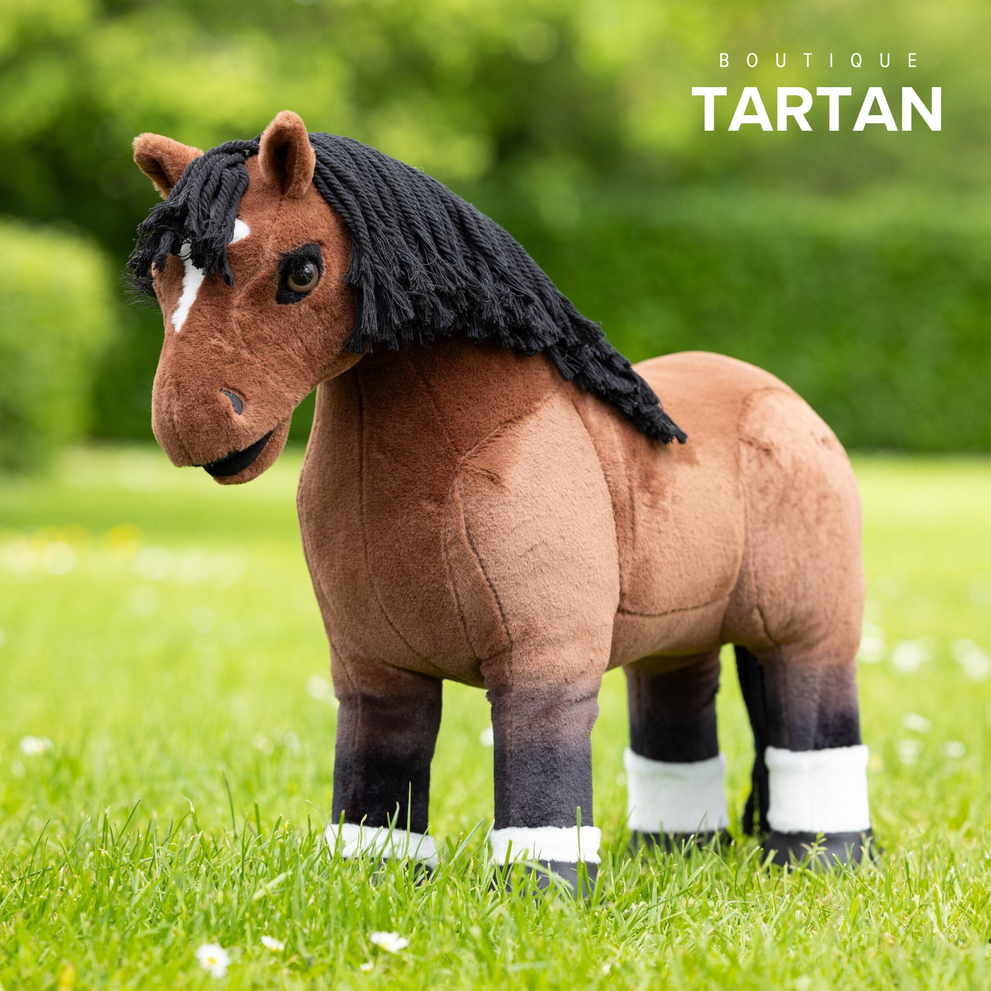 Toy Pony Chancer