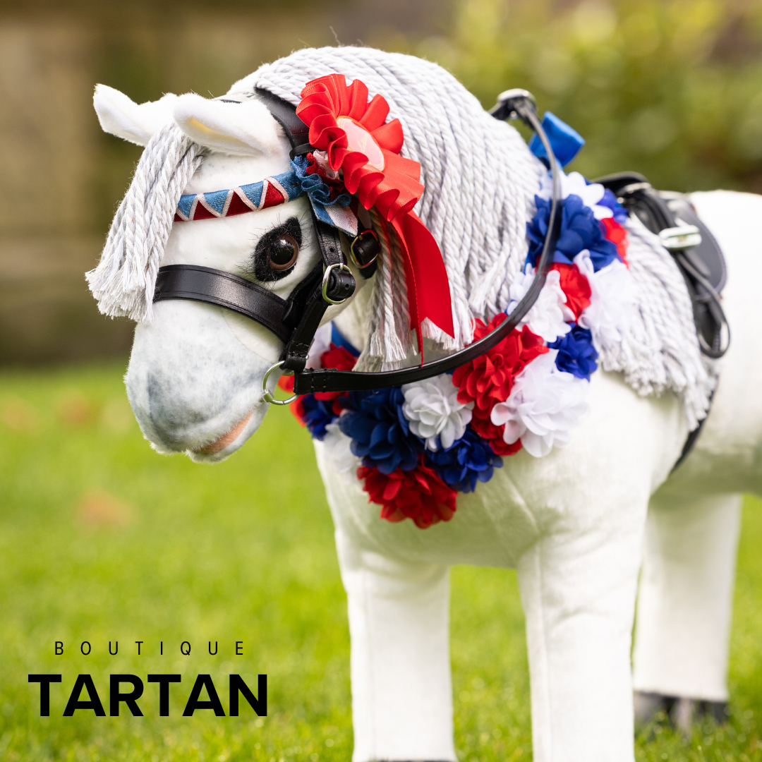 Toy Pony Rosette Pack