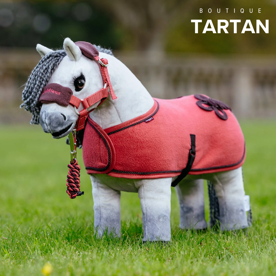 Toy Pony Rug Cranberry