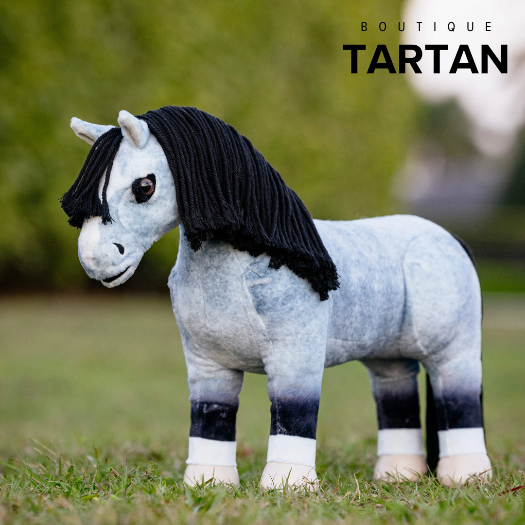 Toy Pony Storm